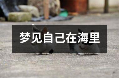 <h3>梦见自己在海里