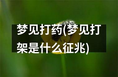 <h3>梦见打药(梦见打架是什么征兆)