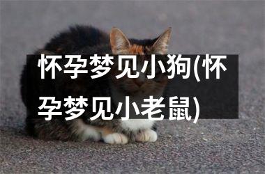 怀孕梦见小狗(怀孕梦见小老鼠)