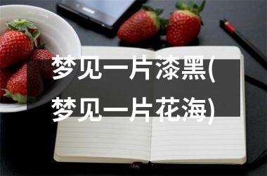 <h3>梦见一片漆黑(梦见一片花海)