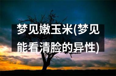 <h3>梦见嫩玉米(梦见能看清脸的异性)