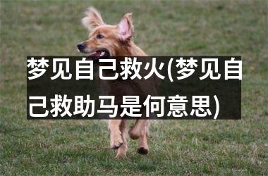 <h3>梦见自己救火(梦见自己救助马是何意思)