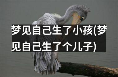<h3>梦见自己生了小孩(梦见自己生了个儿子)