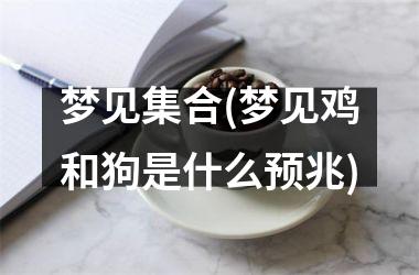 梦见集合(梦见鸡和狗是什么预兆)