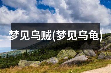 <h3>梦见乌贼(梦见乌龟)