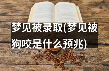 <h3>梦见被录取(梦见被狗咬是什么预兆)
