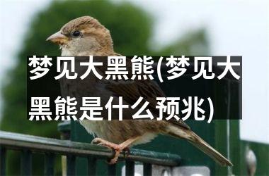 <h3>梦见大黑熊(梦见大黑熊是什么预兆)