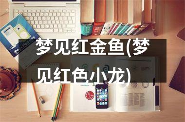 梦见红金鱼(梦见红色小龙)