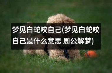 <h3>梦见白蛇咬自己(梦见白蛇咬自己是什么意思 周公解梦)