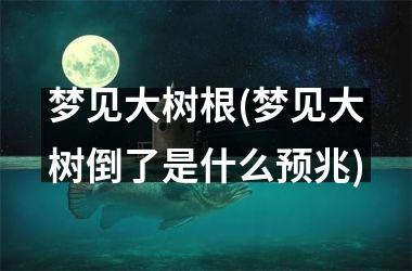 梦见大树根(梦见大树倒了是什么预兆)