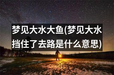 <h3>梦见大水大鱼(梦见大水挡住了去路是什么意思)