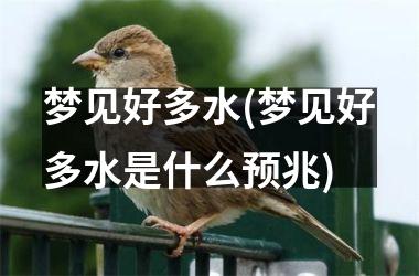 <h3>梦见好多水(梦见好多水是什么预兆)