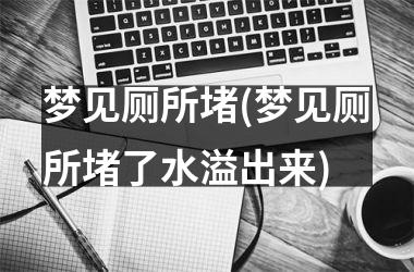 <h3>梦见厕所堵(梦见厕所堵了水溢出来)