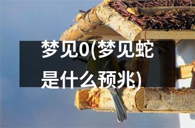 梦见0(梦见蛇是什么预兆)