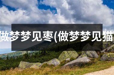 <h3>做梦梦见枣(做梦梦见猫)