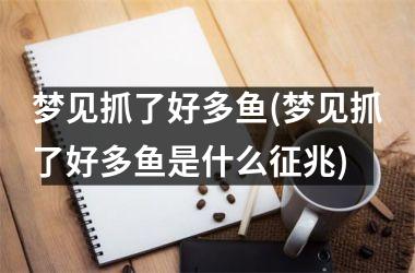 <h3>梦见抓了好多鱼(梦见抓了好多鱼是什么征兆)