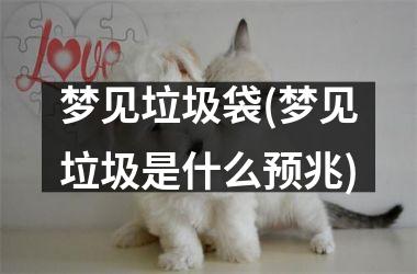 <h3>梦见垃圾袋(梦见垃圾是什么预兆)