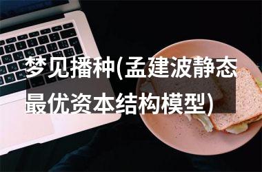 梦见播种(孟建波静态优资本结构模型)