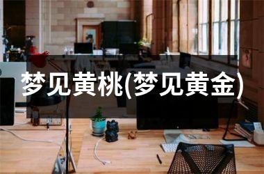<h3>梦见黄桃(梦见黄金)