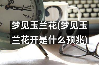 <h3>梦见玉兰花(梦见玉兰花开是什么预兆)