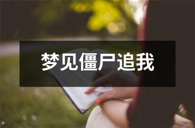 <h3>梦见僵尸追我