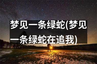 <h3>梦见一条绿蛇(梦见一条绿蛇在追我)