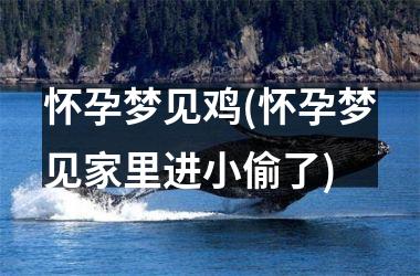 怀孕梦见鸡(怀孕梦见家里进小偷了)