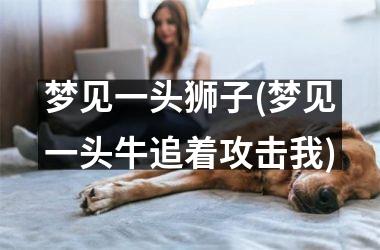 梦见一头狮子(梦见一头牛追着攻击我)