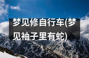 <h3>梦见修自行车(梦见袖子里有蛇)