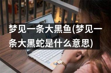 梦见一条大黑鱼(梦见一条大黑蛇是什么意思)