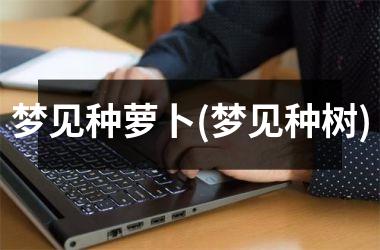 梦见种萝卜(梦见种树)