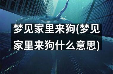 <h3>梦见家里来狗(梦见家里来狗什么意思)
