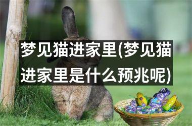 <h3>梦见猫进家里(梦见猫进家里是什么预兆呢)