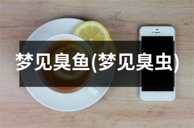梦见臭鱼(梦见臭虫)