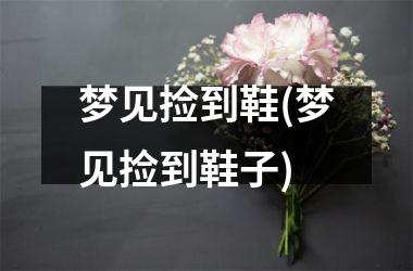 梦见捡到鞋(梦见捡到鞋子)