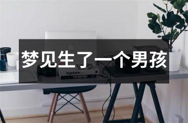 <h3>梦见生了一个男孩