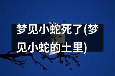 <h3>梦见小蛇死了(梦见小蛇的土里)