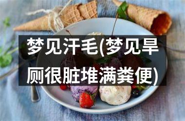 <h3>梦见汗毛(梦见旱厕很脏堆满粪便)