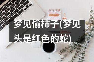 <h3>梦见偷柿子(梦见头是红色的蛇)