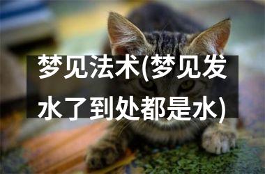 梦见法术(梦见发水了到处都是水)
