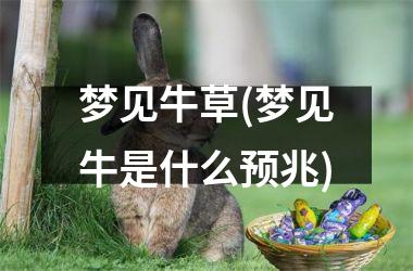 <h3>梦见牛草(梦见牛是什么预兆)