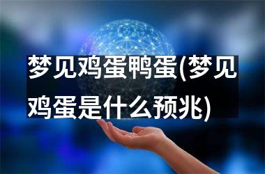 <h3>梦见鸡蛋鸭蛋(梦见鸡蛋是什么预兆)