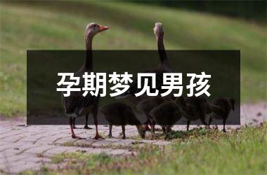<h3>孕期梦见男孩