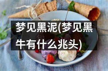 <h3>梦见黑泥(梦见黑牛有什么兆头)