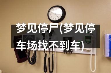 <h3>梦见停尸(梦见停车场找不到车)