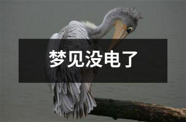 <h3>梦见没电了