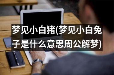 梦见小白猪(梦见小白兔子是什么意思周公解梦)