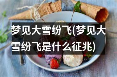 <h3>梦见大雪纷飞(梦见大雪纷飞是什么征兆)