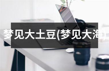 梦见大土豆(梦见大海)