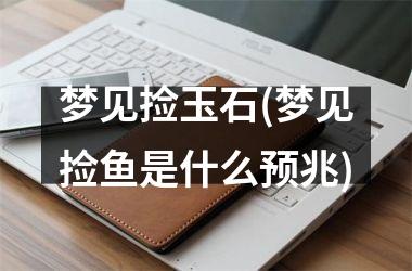 <h3>梦见捡玉石(梦见捡鱼是什么预兆)